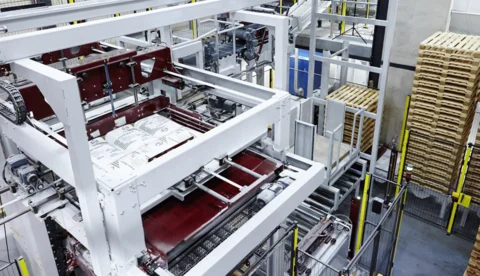 Palletizing machines for bags